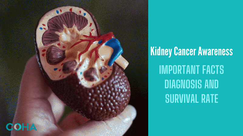 Important Facts about Kidney Cancer Diagnosis and Survival Rate