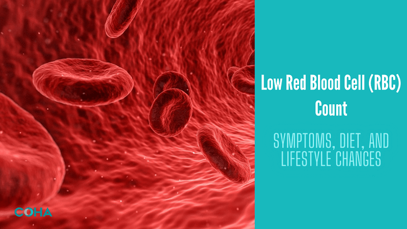 Low Red Blood Cell (RBC) Count: Symptoms, Diet, and Lifestyle Changes